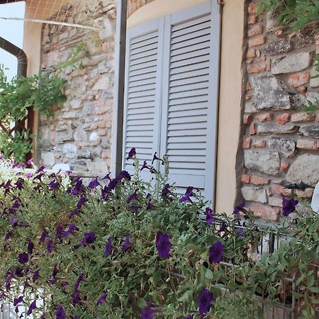 B&B Storico Como Rum bild